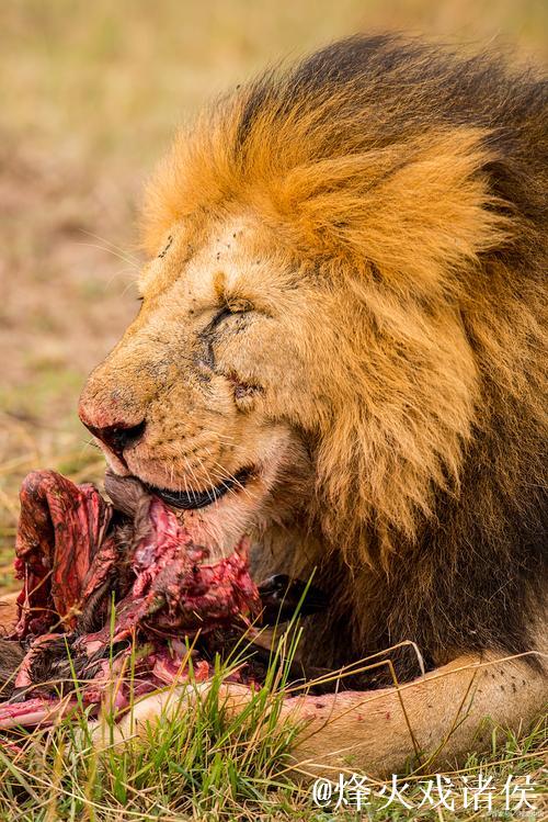 斯洛特遭遇滑铁卢，近12场9败创72年最差纪录！